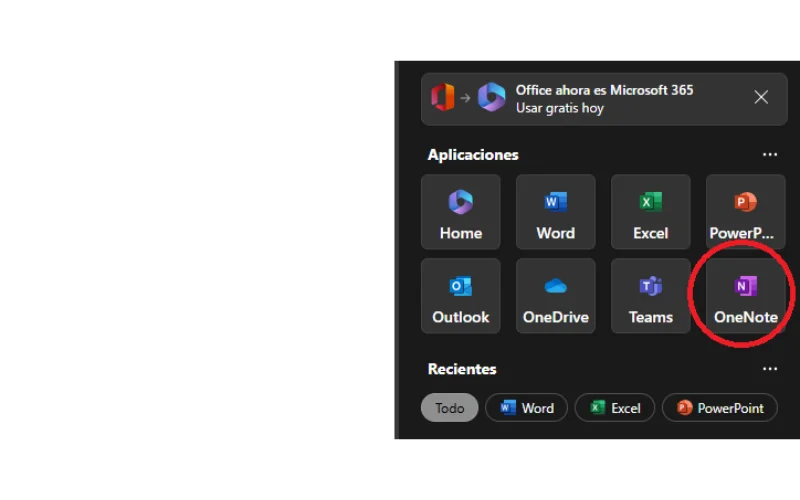 OneNote